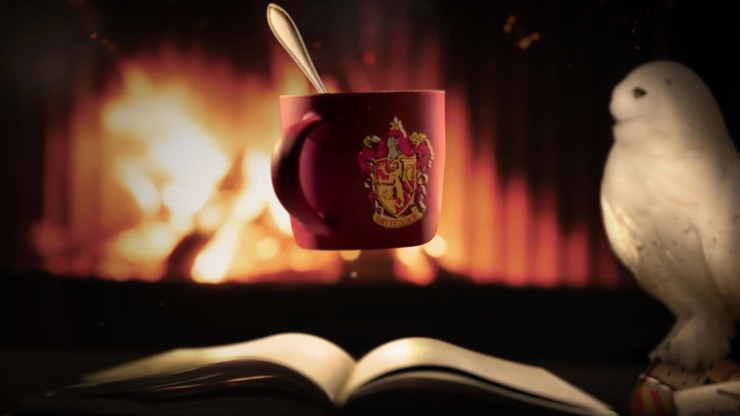 Harry Potter: Fireplace backdrop
